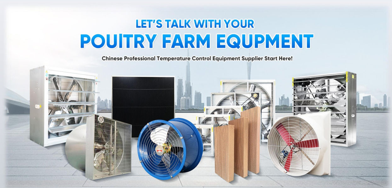 Shandong Xingmuyuan Agriculture and Animal Husbandry Technology Co.,ltd 製造者の生産ライン